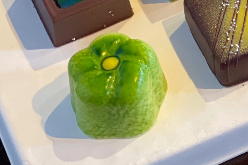 belamer-kyoto