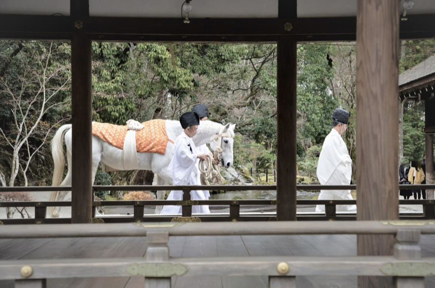 上賀茂神社|白馬奏覧神事