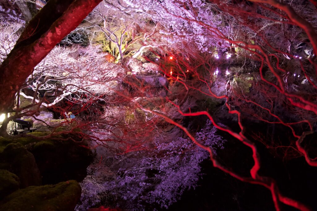 醍醐寺_弁天池_リフレクション