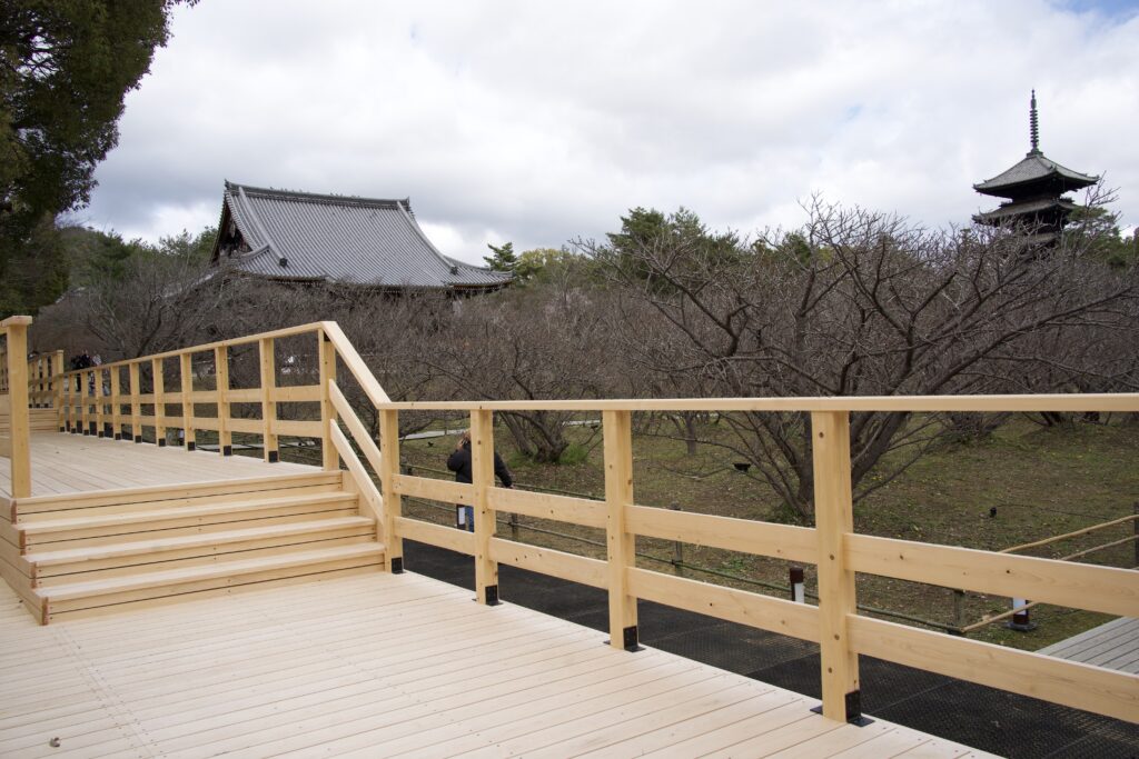 仁和寺「御室桜」観賞用デッキ