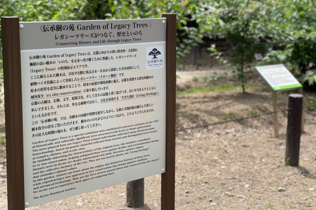 京都府立植物園 伝承樹の苑