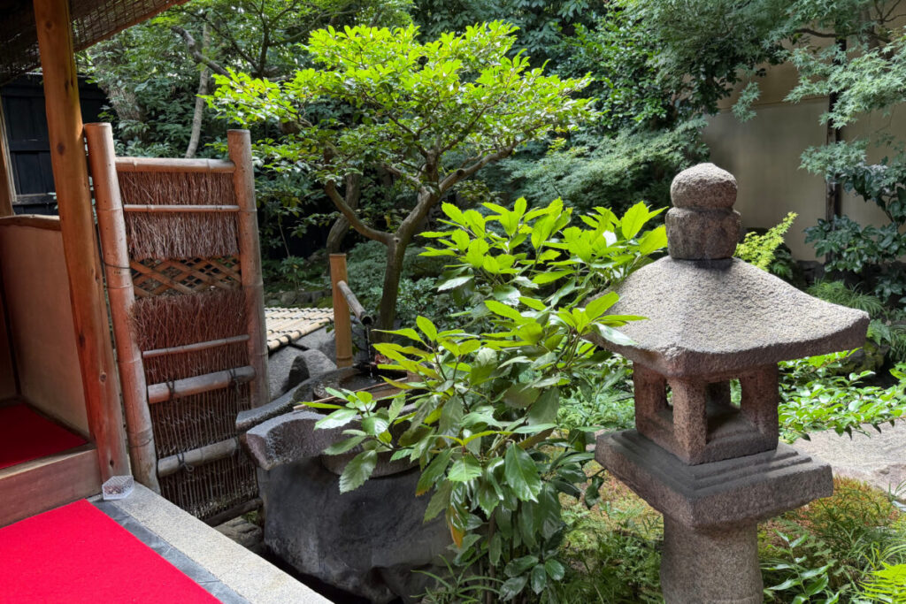 麓寿庵の主庭　青もみじと縁側（登録有形文化財の日本庭園）
