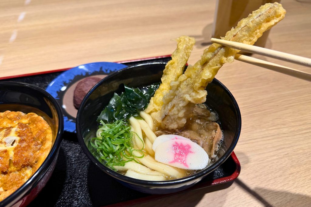 資さんうどんの肉ごぼ天うどん スティック状のごぼ天