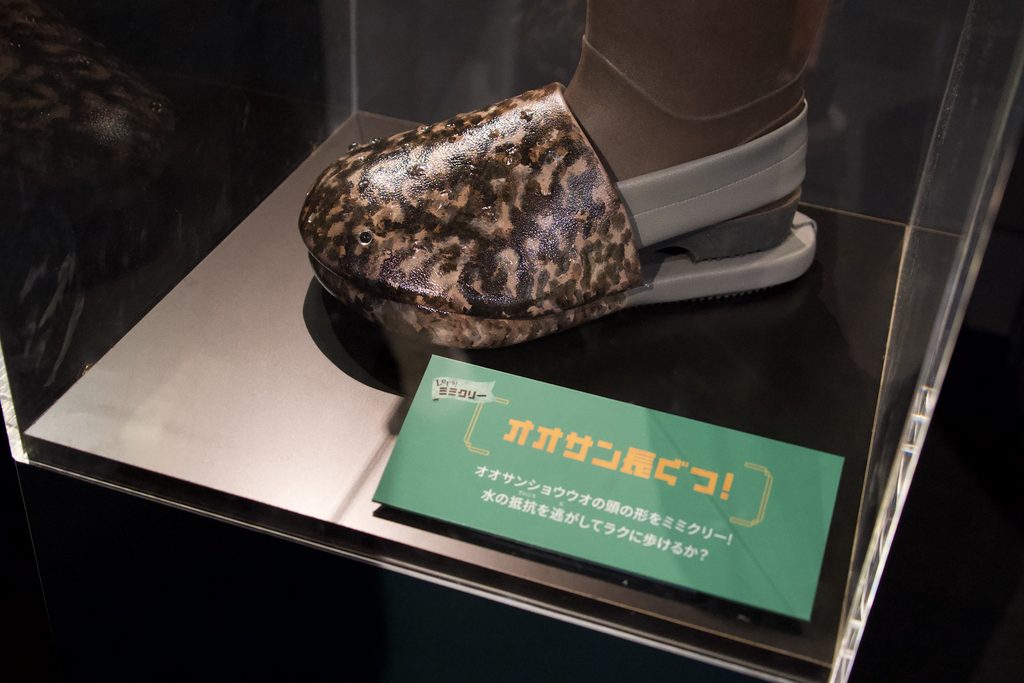 オオサンショウウオの特徴をヒントにした道具の展示