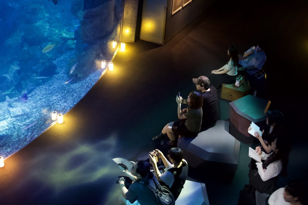 ランタンの光に照らされた夜の京都水族館「京の海」大水槽