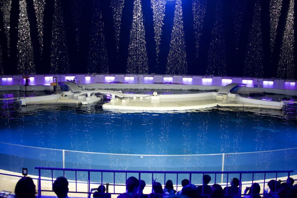 夜のイルカスタジアムで上演されるウォーターカーテン