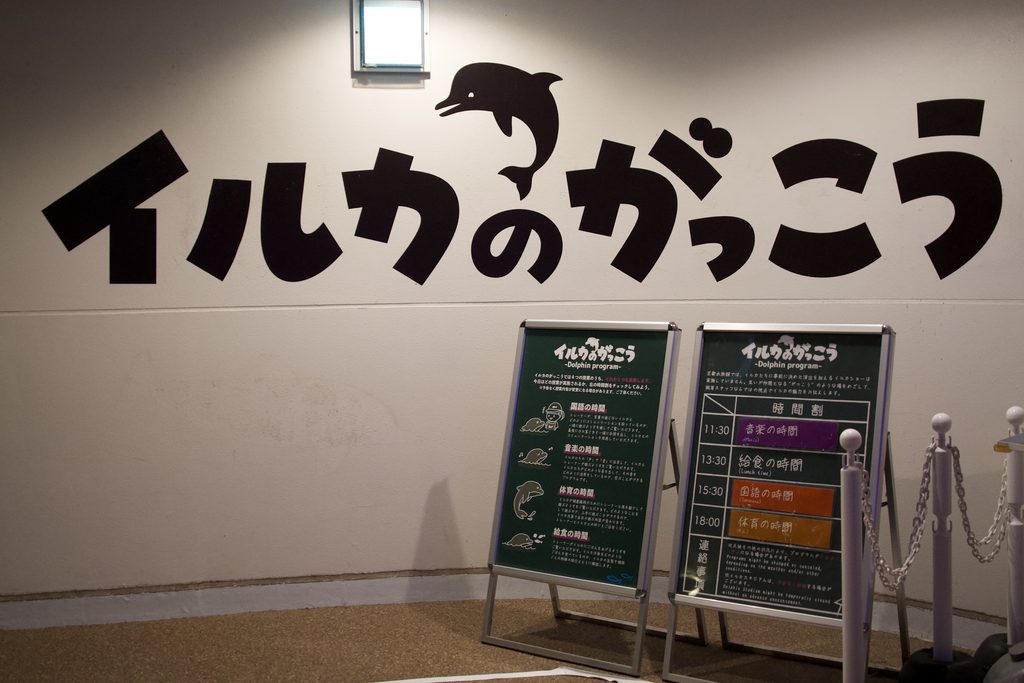 「イルカのがっこう」の授業内容と当日の時間割