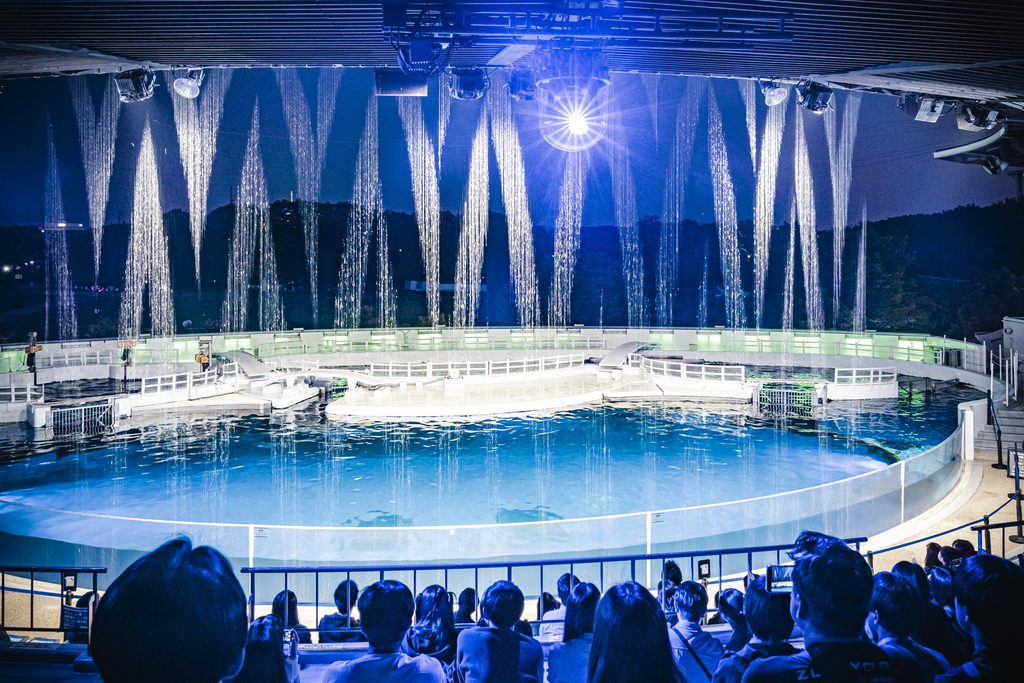 夜のイルカスタジアムで上演する「ウォーターカーテン」