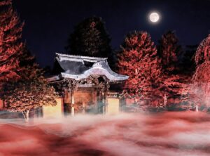 高台寺の方丈前庭を包む雲海ライトアップのイメージ