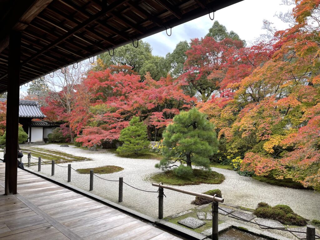 南禅寺の方丈庭園に広がる白砂と松、赤や黄色の紅葉