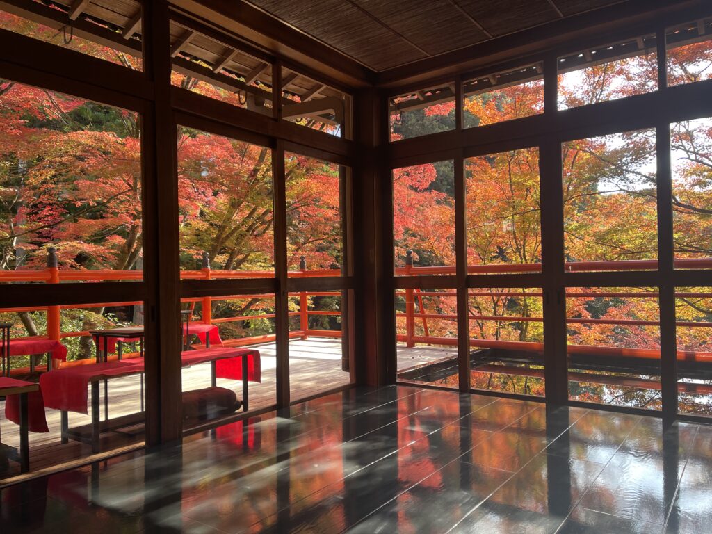 今熊野観音寺の茶所「閑坐」の窓越しに広がり、床にも映る紅葉