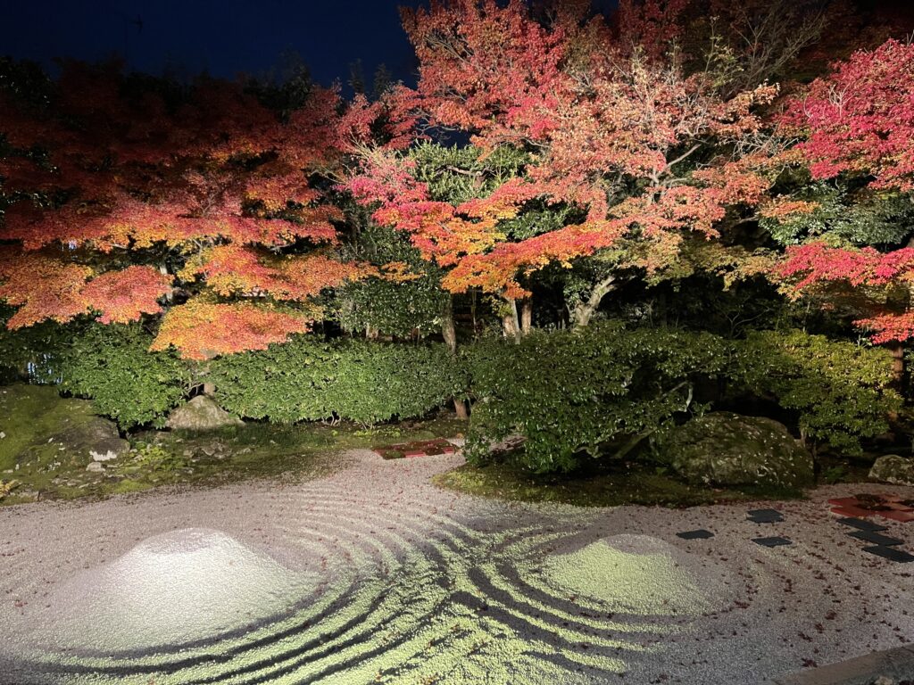高台寺の白砂の庭とライトアップされた紅葉