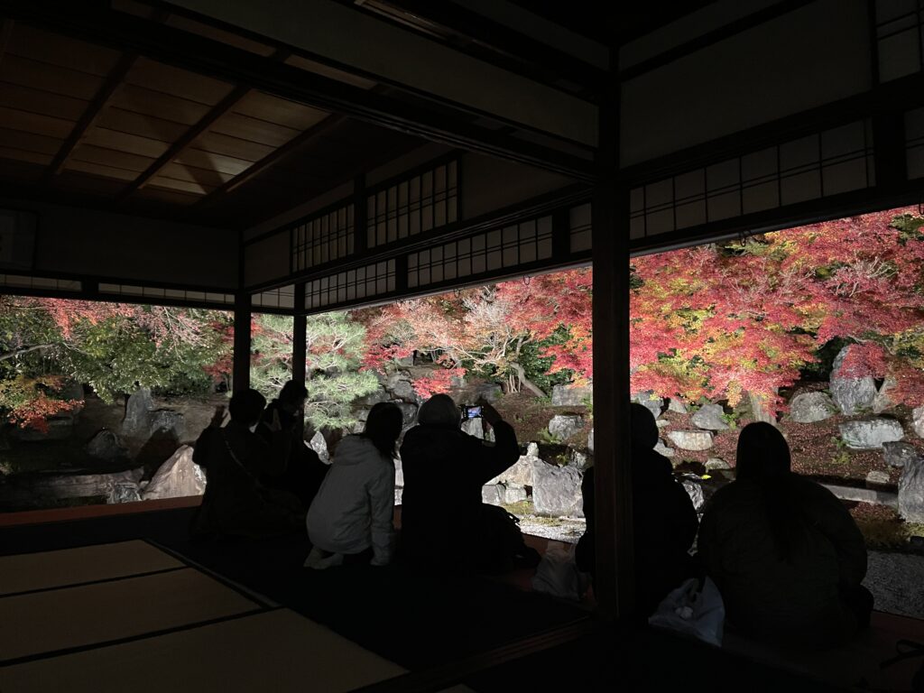 高台寺の室内から紅葉のライトアップを眺める参拝者