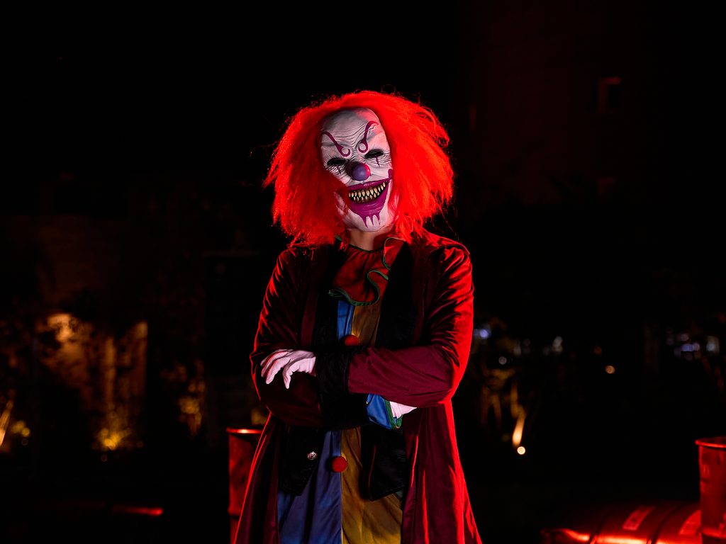 Victor of the Amazing Circusの出演者イメージ
