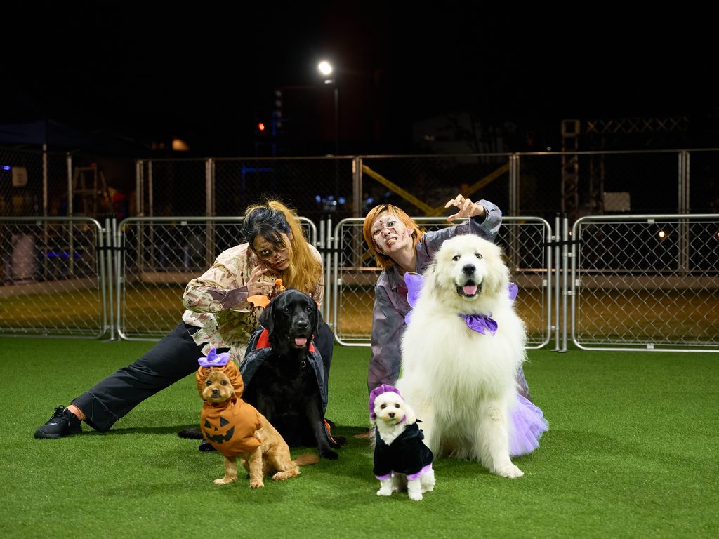 Re.Nova北山のハロウィンイベントで行われるワンちゃん仮装パレードのイメージ